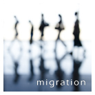 migration project